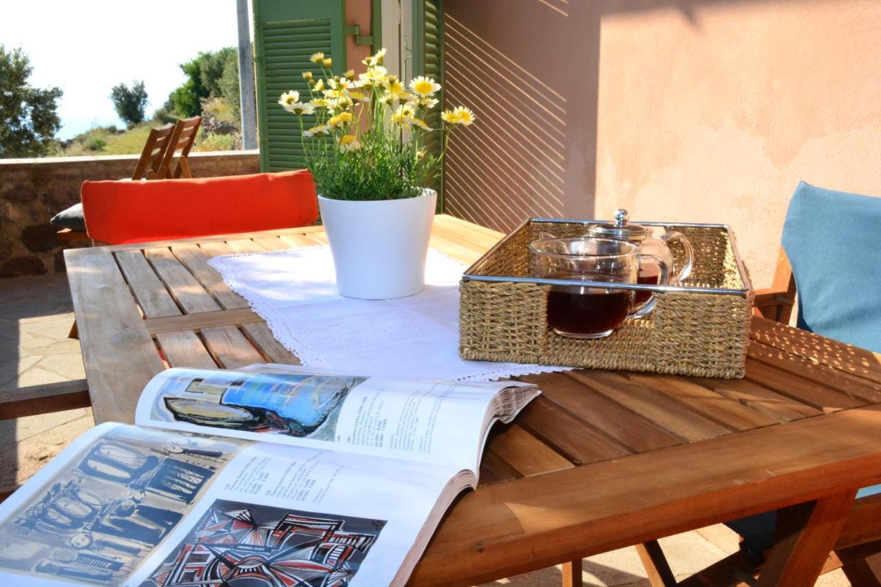 فيلا Aegina Colors Sfentouri المظهر الخارجي الصورة